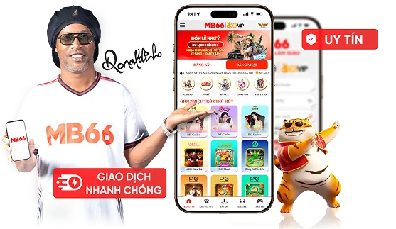 Biểu tượng giấy phép và quy định hoạt động
